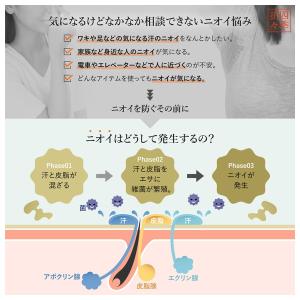 熊野油脂 四季折々 薬用 柿渋 リンス イン ...の詳細画像3