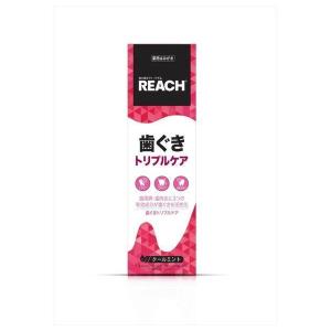 銀座ステファニー リーチ 歯ぐき トリプルケア 歯みがき 120g