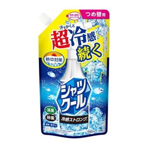 小林製薬 熱中対策シャツクール 冷感ストロング つめ替用 パウチ 250mL｜アットツリーヤフー店