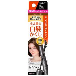 サロンドプロ カラーオンリタッチ 白髪かくしEX ナチュラルブラウン