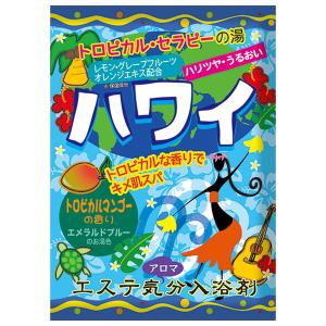 エステ気分 アロマ入浴剤 ハワイ 40g 1包 ( お風呂 入浴剤 1回分 )