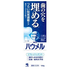 ハウメル 薬用ハミガキ 100g 小林製薬
