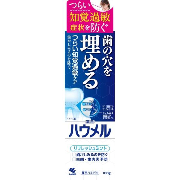 ハウメル 薬用ハミガキ 100g 小林製薬