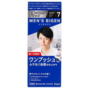 メンズビゲンワンプッシュ ナチュラルブラック　白髪用　本体　医薬部外品（4987205100673）
