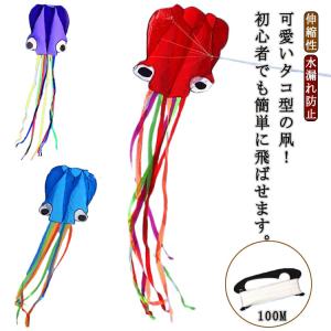 カイト 凧 凧揚げ 子供 スポーツカイト アウトドア 正月 外遊び