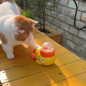 知育給餌器 知育 滑り止め 猫 ペット食器 ペ...の詳細画像3