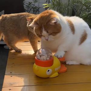 知育給餌器 知育 滑り止め 猫 ペット食器 ペ...の詳細画像4
