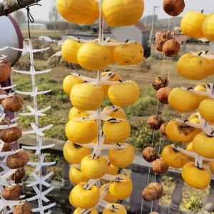 大量の干し柿作業がとっても簡単に!干柿吊るし具...の詳細画像3