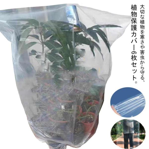 透明 被せるだけ 寒さ対策 6枚組 ビニール 植物保護カバー 防虫 風よけ カット可能 植木カバー ...