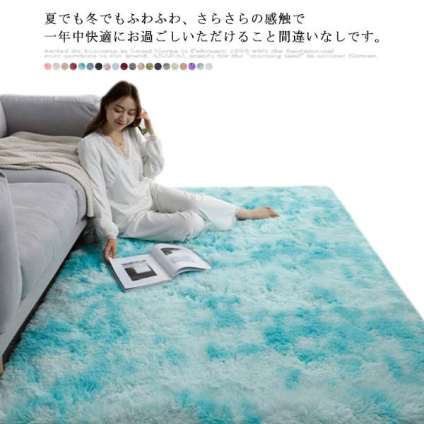 カーペット セール 全20色 ラグ オールシーズン 80*160 60*200 北欧 ラグマット 長...