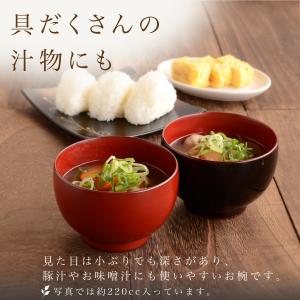汁椀 お椀 ほてい汁椀 漆塗り 古代朱 溜 日...の詳細画像5