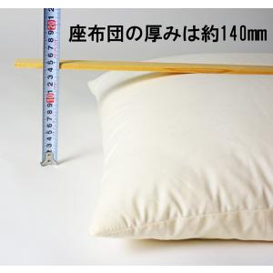ヌード座布団 中身 中わた綿100% 木綿わた...の詳細画像3