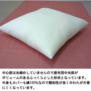 ヌード座布団 中身 中わた綿100% 木綿わた...の詳細画像4