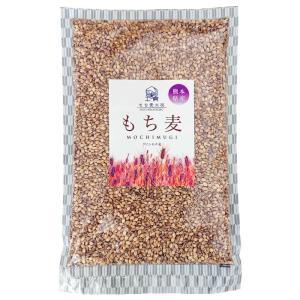 もち麦/国産もち麦/九州産/もち麦工房　純国産もち麦(ダイシモチ) 500g