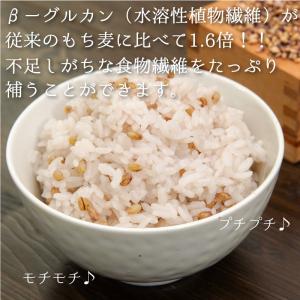 もち麦/国産もち麦/九州産/もち麦工房 純国産...の詳細画像1