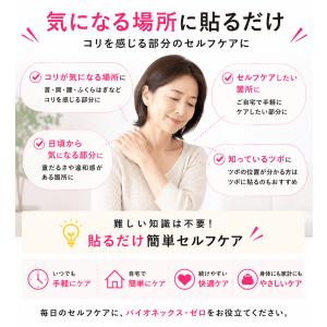 パイオネックス ゼロ セイリン 円皮鍼 針 鍼...の詳細画像3