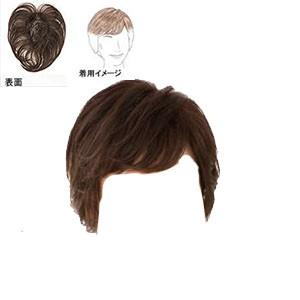 LEONKA 部分ウィッグ（SF-T305） LEONKA レオンカ ウィッグ SF-T305 DBN : アットBeauty Yahoo!店