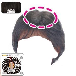 ワンタッチヘアピース SJ-098 自然色