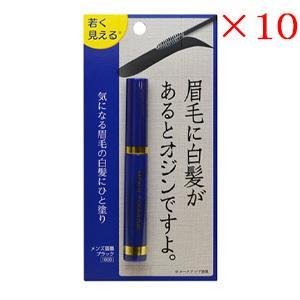 ビナ薬粧 メンズ眉墨 ブラックの商品画像