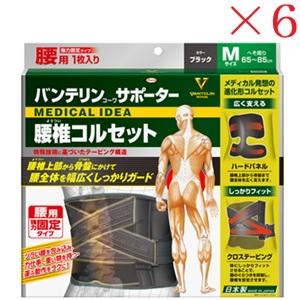 興和新薬 バンテリンコーワ サポーター 腰椎コルセット ふつうサイズ ブラック ×6セット
