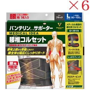 興和新薬 バンテリンコーワ サポーター 腰椎コルセット 大きめサイズ ブラック ×6セット