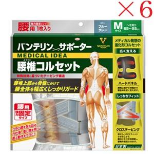 興和新薬 バンテリンコーワ サポーター 腰椎コルセット ふつうサイズ ブルーグレー ×6セット