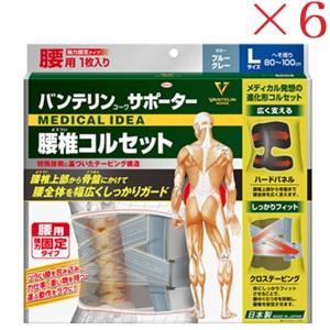 興和新薬 バンテリンコーワ サポーター 腰椎コルセット 大きめサイズ ブルーグレー ×6セット