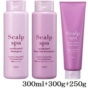 未使用品 shuwa shuwa スカルプトリートメント 300g WELLP 薬用スカルプケア トリートメント モイスト 370g