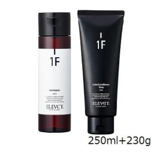 デミ エレベート シャンプー 250ml + カラーコンディショナー グレー 230g