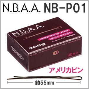 NBAA アメリカピン NB-P01