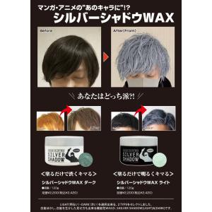 シルバーシャドウ ワックス 120g ライト ...の詳細画像1