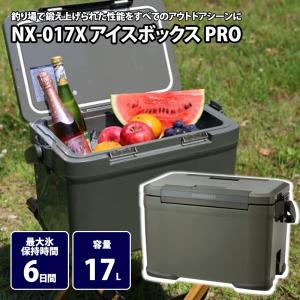 シマノ クーラーボックス 22L アイスボックスPRO ICEBOX PRO NX