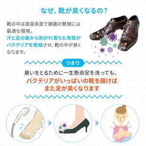 グランズレメディ 正規 靴 消臭 メーカー保証...の詳細画像2