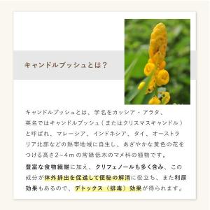 デトラーブ ダイエットティー 30包入 デトラ...の詳細画像5