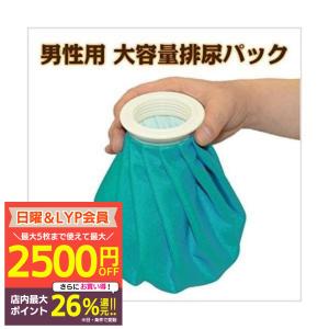 snow peak スノーピーク snowpeak ポールビット20 （2本