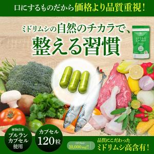 ユーグレナ ミドリムシ ミドリムシエメラルド ...の詳細画像2