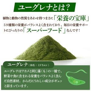 ユーグレナ ミドリムシ ミドリムシエメラルド ...の詳細画像4