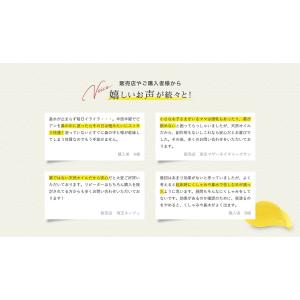 王様のブランチで紹介 正規品 鼻用 保湿オイル...の詳細画像5