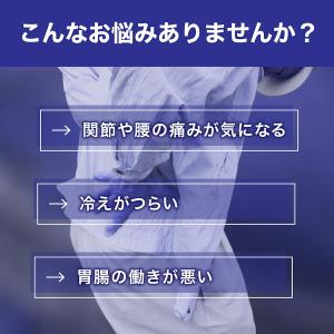 遠赤外線治療器 オマケ付き コスモパックフィッ...の詳細画像3