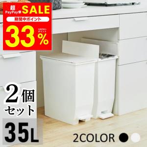 ゴミ箱 おしゃれ 分別 35L 2個 スリム ごみ箱 ダストボックス 蓋付きゴミ箱 分別ゴミ箱 キッチン ごみ SOLOW ペダルオープンツイン 袋が見えない 爆買
