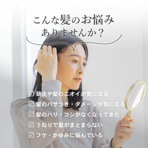 ヘアブラシ 正規品 エスハートエス スカルプブ...の詳細画像2