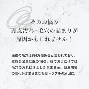 ヘアブラシ 正規品 エスハートエス スカルプブ...の詳細画像3