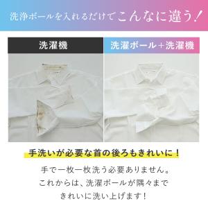 洗濯ボールグッズ ドクターランドリー 2個セッ...の詳細画像3
