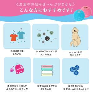 洗濯ボールグッズ ドクターランドリー 2個セッ...の詳細画像5