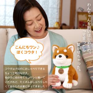 ぬいぐるみ こんにちワン! しばいぬコウタ バ...の詳細画像1