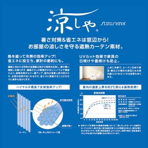 テイジン ホームプロテクト レースカーテン 2...の詳細画像4