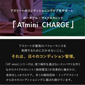 低周波治療器 ミニ 伊藤超短波 AT-mini...の詳細画像3