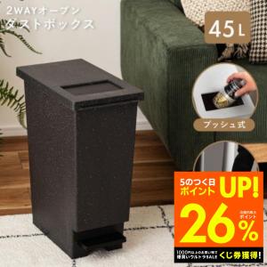 ゴミ箱 45リットル おしゃれ 分別 スリム ご...の商品画像
