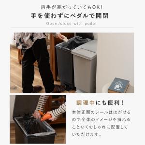 ゴミ箱 45リットル おしゃれ 分別 スリム ...の詳細画像5