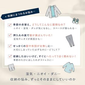 収納ケース 布 テイジン 乾っとデオケースli...の詳細画像4